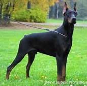 Like this, only two, and on my face.