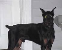 I couldn't see their faces, but I suspect they looked just like this.  