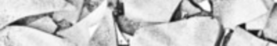 cropped-glass.png