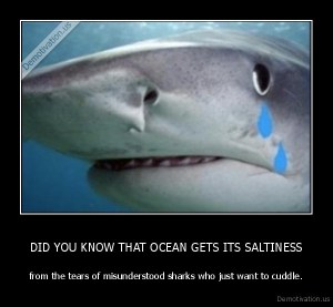 shark tears
