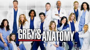 source: greysanatomy.wikia.com