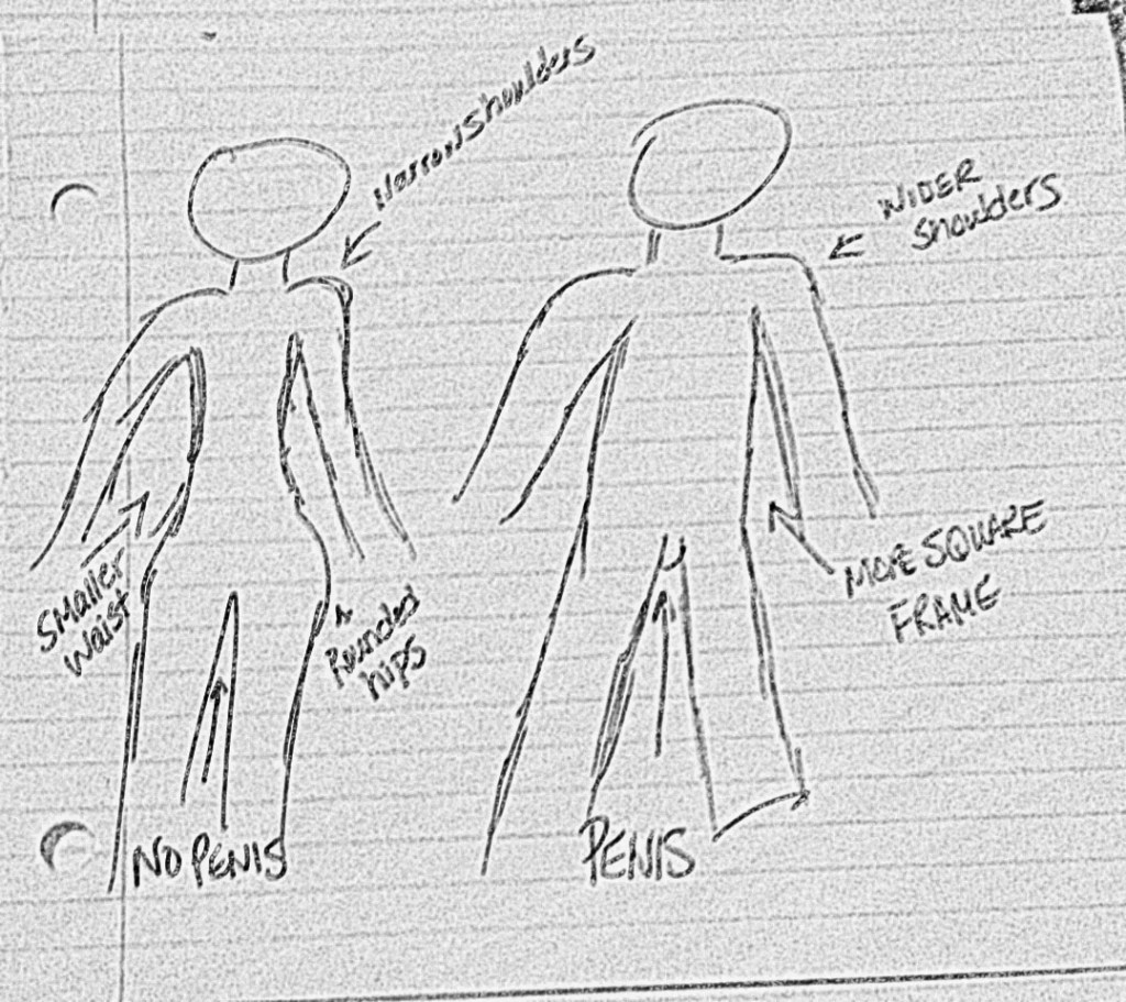Anatomy. Questions. Honesty. Please make it&nbsp;stop.