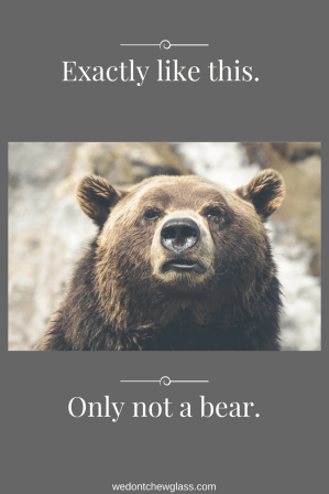 only-not-a-bear
